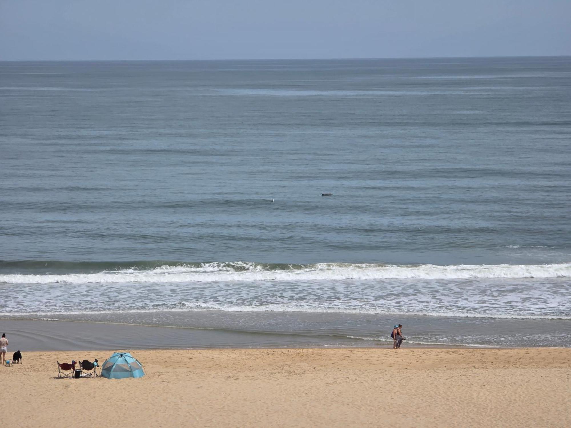 Oceanfront 29th St 2br 2ba Steps To Boardwalk *