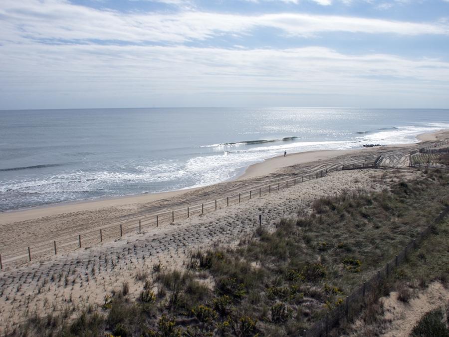 Golden Surf 403 *