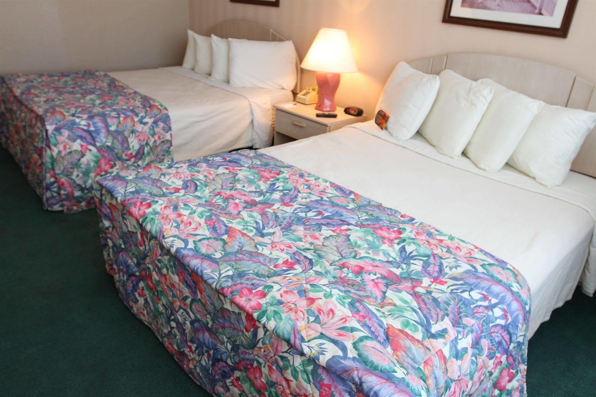 Princess Bayside 2*