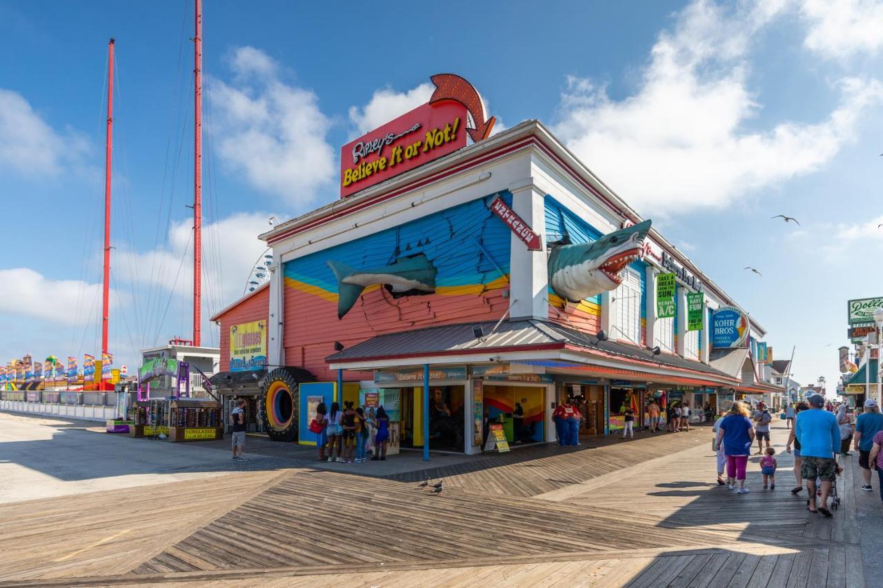 White Marlin Ocean City
