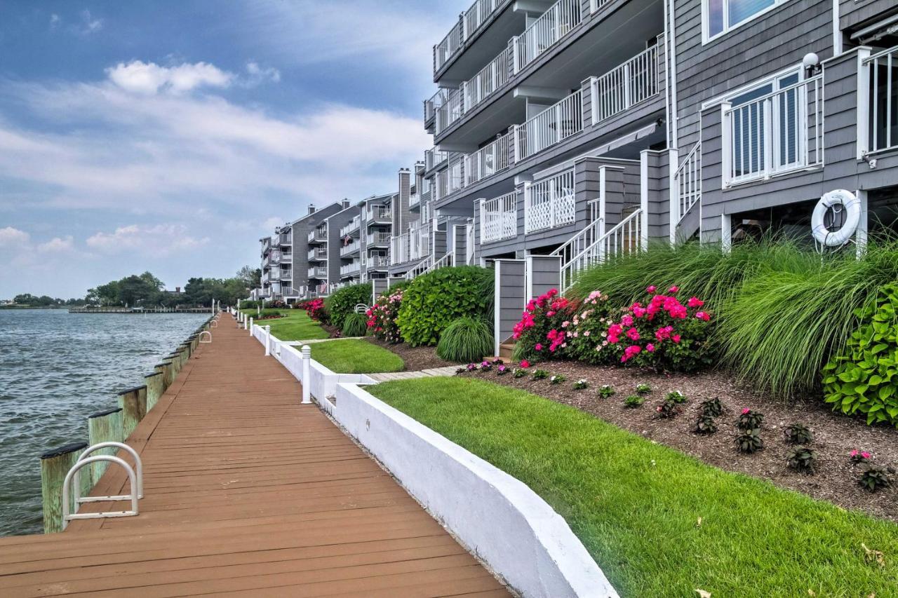 Bayfront Ocean Pool And Boardwalk Access Apartment *