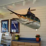 The Spinnaker