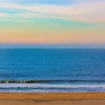 Sea Watch 207