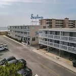 Waldorf 8 - Waveside
