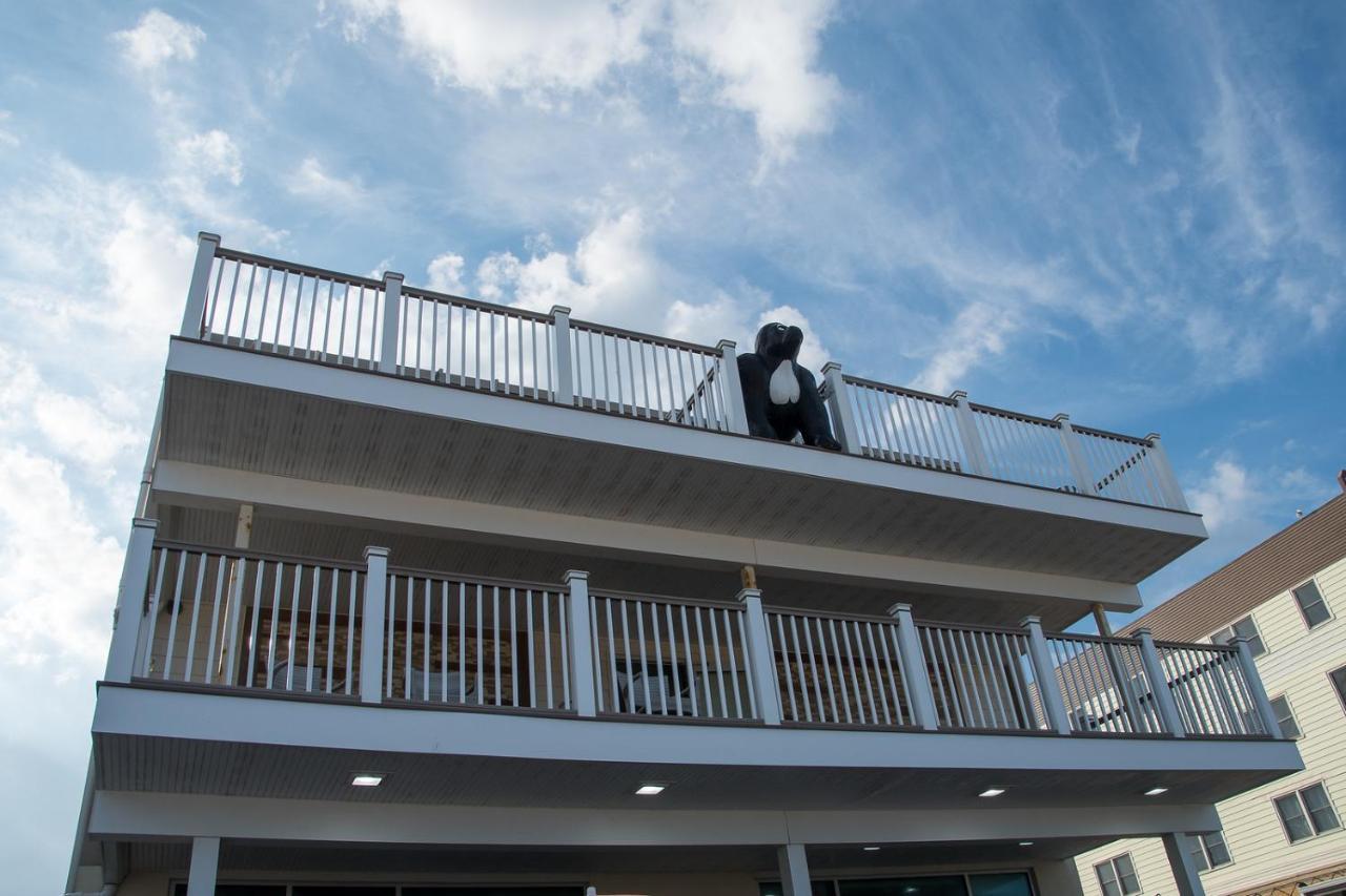 Hotel Safari Boardwalk Ocean City