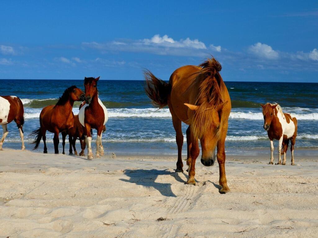 Surfside 84