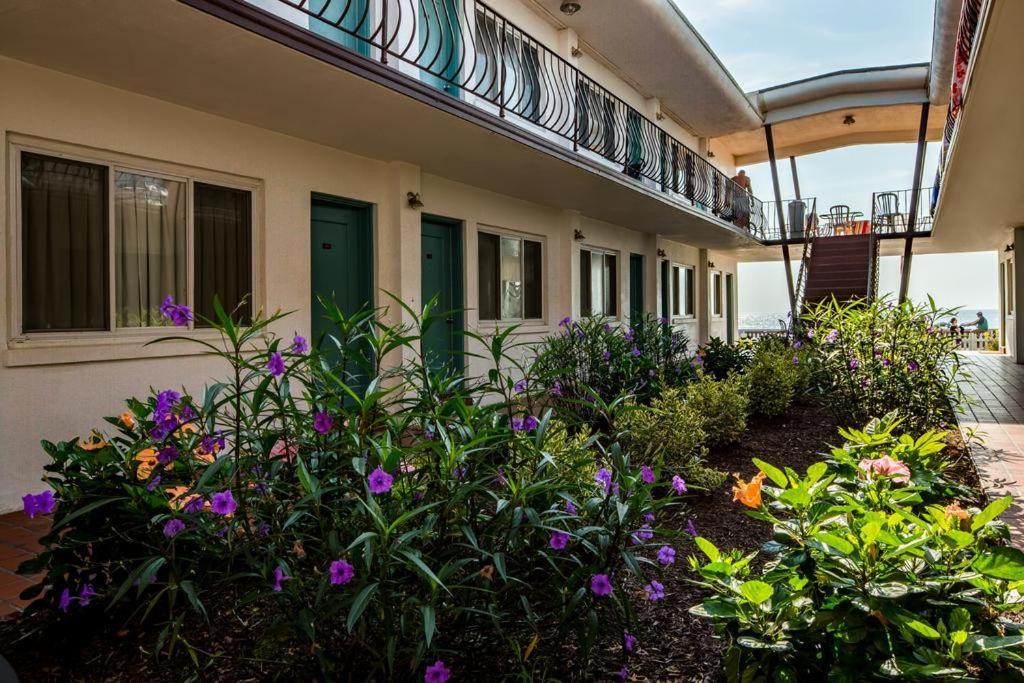 Apartment Beach Plaza Ocean City