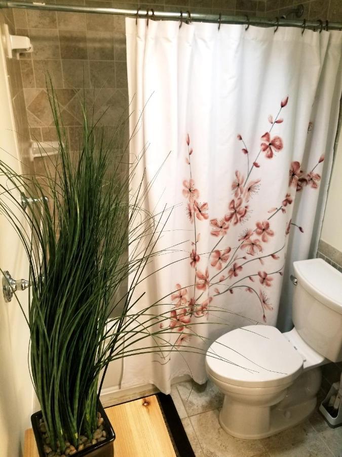 Romantic Inscape -best Ocean View And Heated Pool * Ocean City