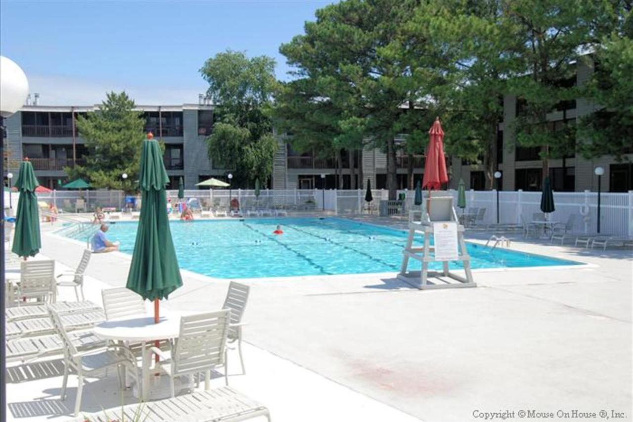 Our Place At The Ii *