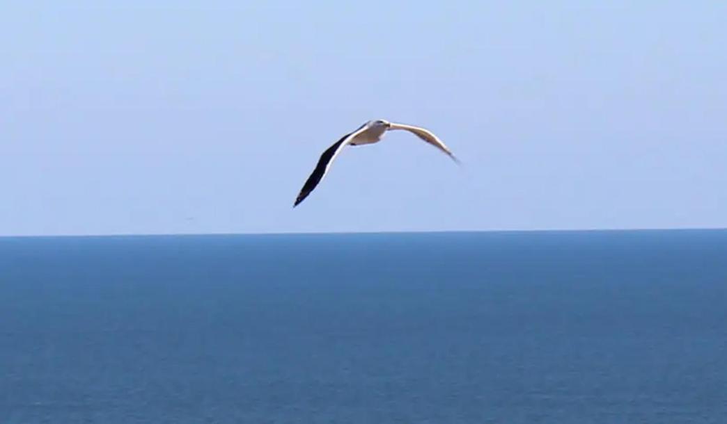 Romantic Inscape -best Ocean View And Heated Pool Apartment *