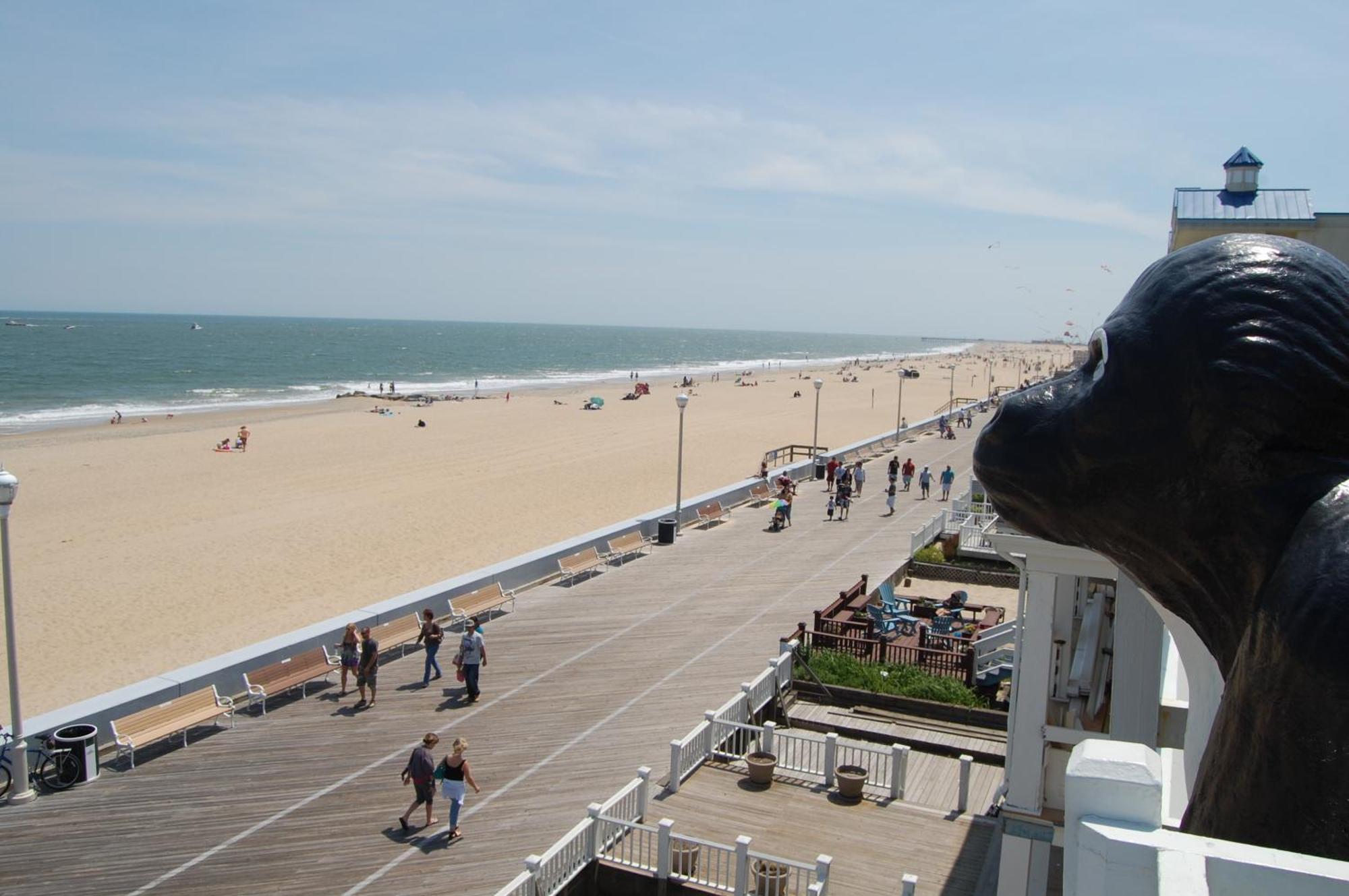 Hotel Safari Boardwalk Ocean City
