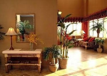 Bonita Hotel