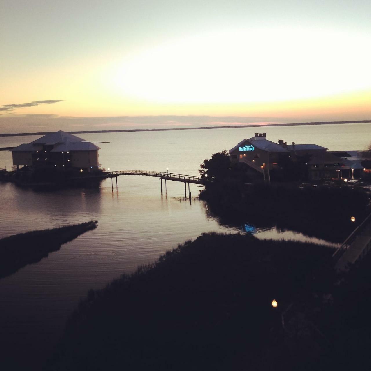 Coconut Malorie Hotel, Ascend Collection Hotel Ocean City